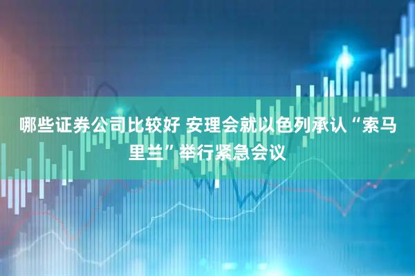 哪些证券公司比较好 安理会就以色列承认“索马里兰”举行紧急会议