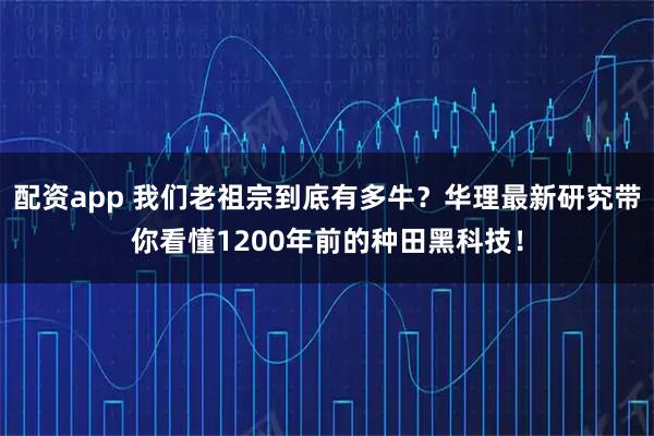 配资app 我们老祖宗到底有多牛？华理最新研究带你看懂1200年前的种田黑科技！